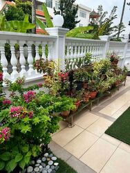 Lucky View (D16), Semi-Detached #569326761